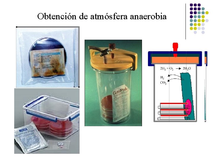 Obtención de atmósfera anaerobia 