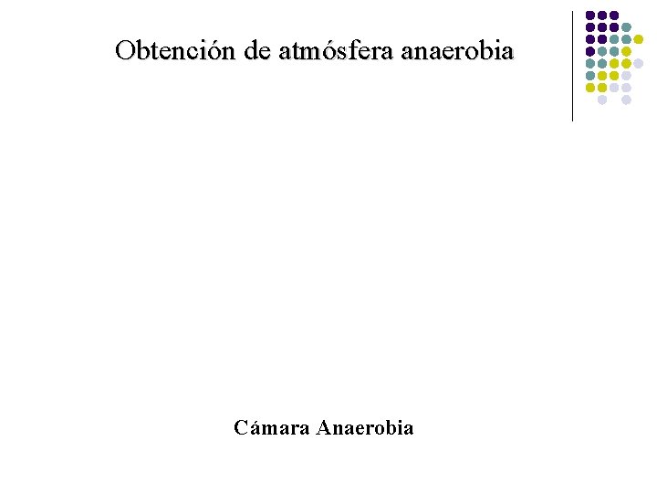 Obtención de atmósfera anaerobia Cámara Anaerobia 