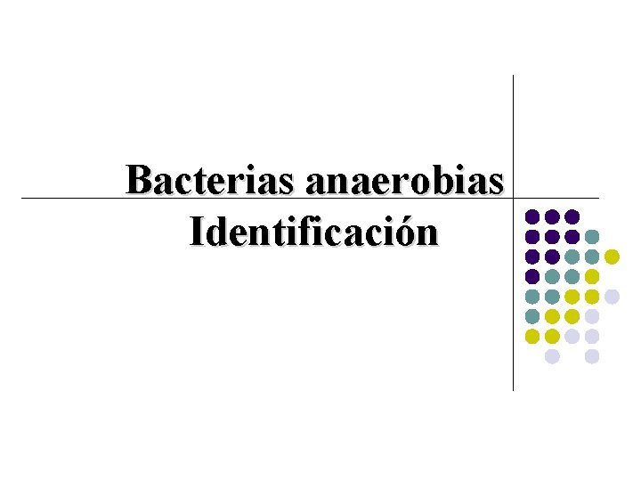 Bacterias anaerobias Identificación 