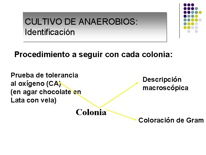 CULTIVO DE ANAEROBIOS: Identificación Procedimiento a seguir con cada colonia: Prueba de tolerancia al