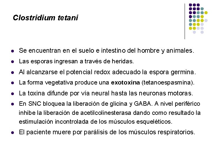 Clostridium tetani l Se encuentran en el suelo e intestino del hombre y animales.