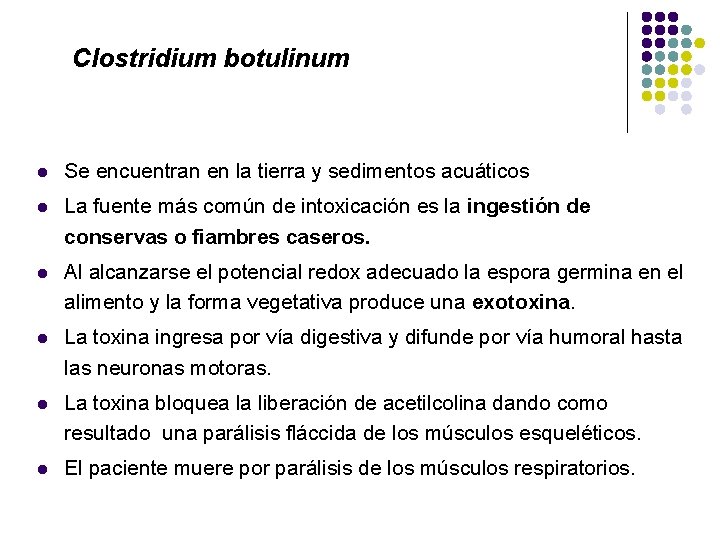 Clostridium botulinum l Se encuentran en la tierra y sedimentos acuáticos l La fuente