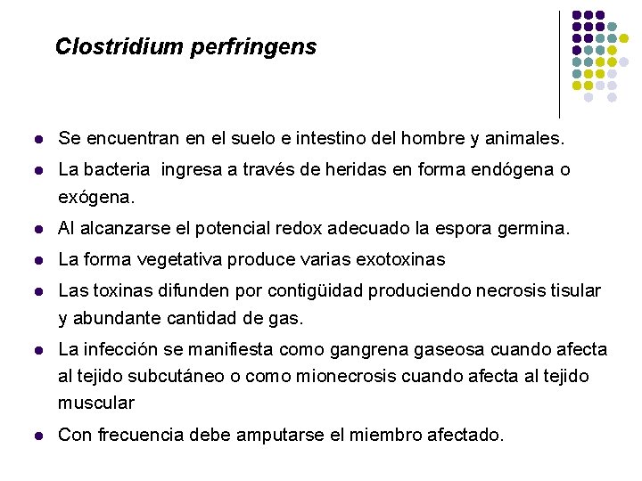 Clostridium perfringens l Se encuentran en el suelo e intestino del hombre y animales.