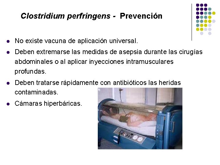 Clostridium perfringens - Prevención l No existe vacuna de aplicación universal. l Deben extremarse