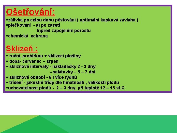 Ošetřování: §zálivka po celou dobu pěstování ( optimální kapková závlaha ) §plečkování - a)