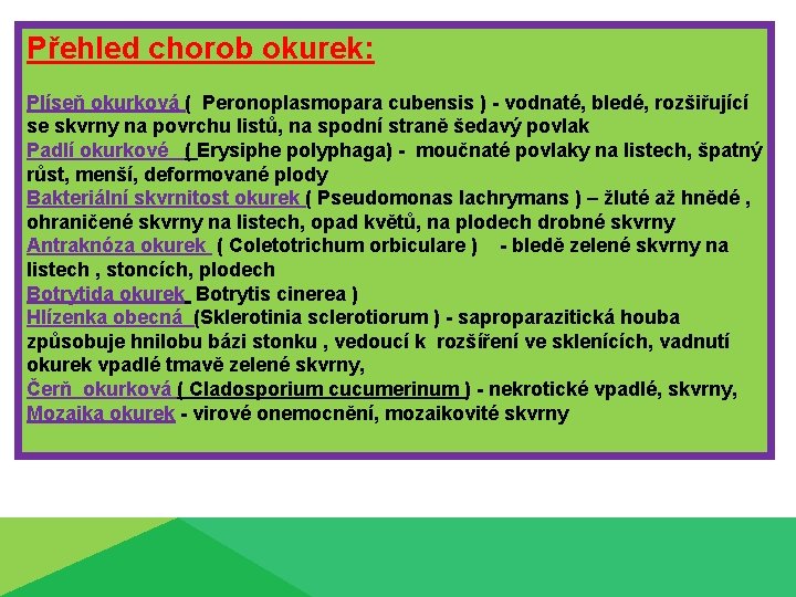 Přehled chorob okurek: Plíseň okurková ( Peronoplasmopara cubensis ) - vodnaté, bledé, rozšiřující se