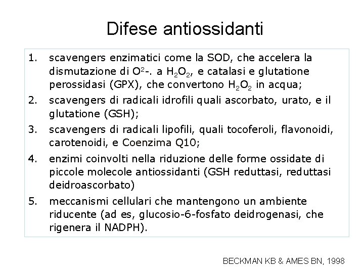 Difese antiossidanti 1. scavengers enzimatici come la SOD, che accelera la dismutazione di O