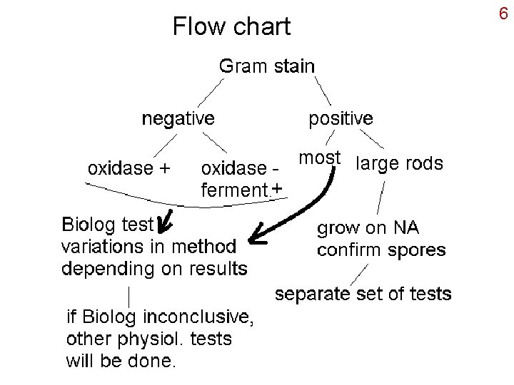 Flow chart 6 