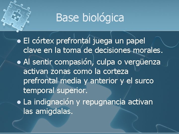 Base biológica El córtex prefrontal juega un papel clave en la toma de decisiones