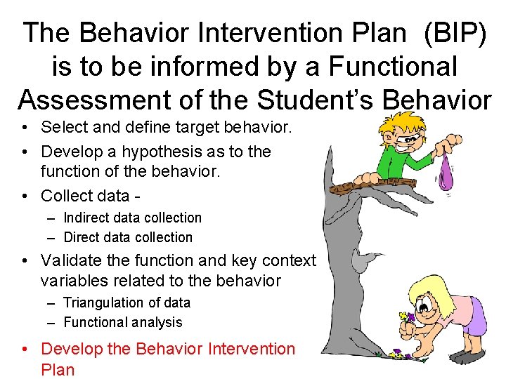 The Behavior Intervention Plan (BIP) is to be informed by a Functional Assessment of