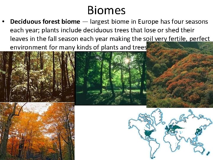 Biomes • Deciduous forest biome — largest biome in Europe has four seasons each