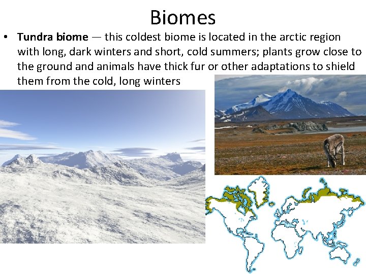 Biomes • Tundra biome — this coldest biome is located in the arctic region