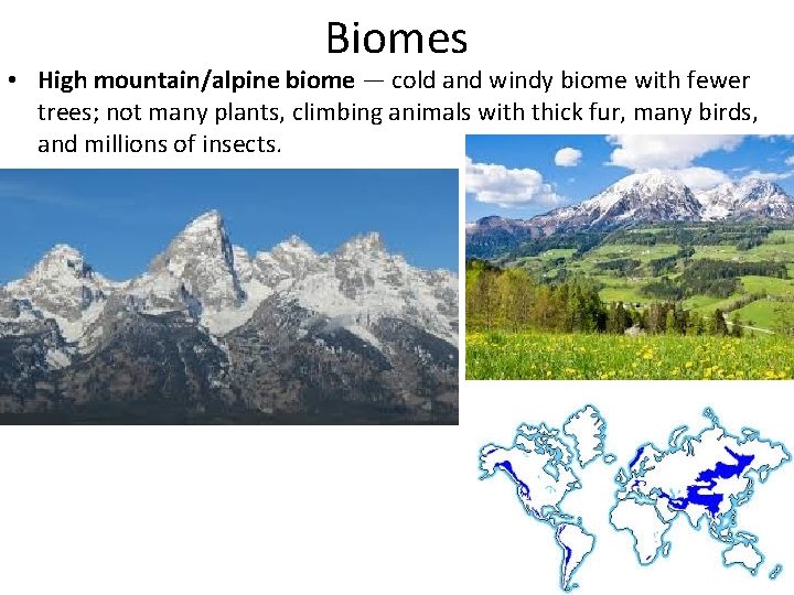 Biomes • High mountain/alpine biome — cold and windy biome with fewer trees; not