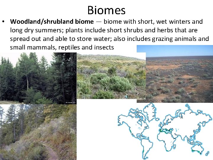 Biomes • Woodland/shrubland biome — biome with short, wet winters and long dry summers;