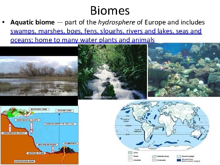 Biomes • Aquatic biome — part of the hydrosphere of Europe and includes swamps,