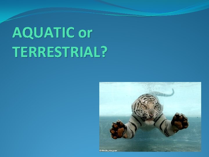 AQUATIC or TERRESTRIAL? 