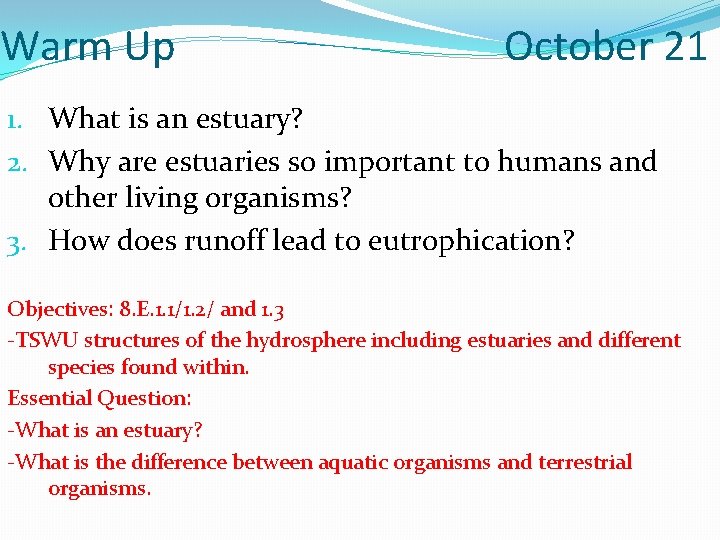 Warm Up October 21 1. What is an estuary? 2. Why are estuaries so