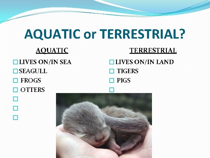 AQUATIC or TERRESTRIAL? AQUATIC �LIVES ON/IN SEA �SEAGULL � FROGS � OTTERS � �