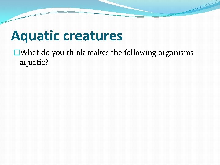 Aquatic creatures �What do you think makes the following organisms aquatic? 