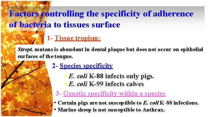 Factors controlling the specificity of adherence of bacteria to tissues surface 1 - Tissue