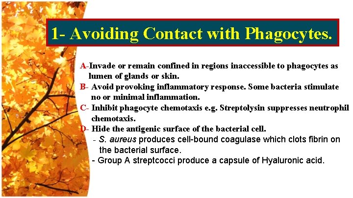 1 - Avoiding Contact with Phagocytes. A-Invade or remain confined in regions inaccessible to