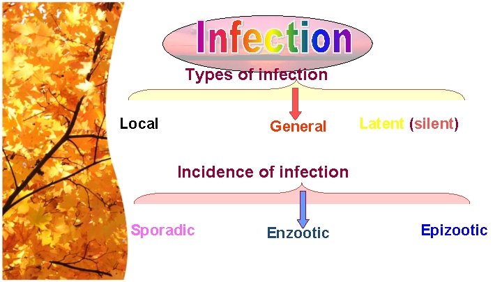 Types of infection Local General Latent (silent) Incidence of infection Sporadic Enzootic Epizootic 