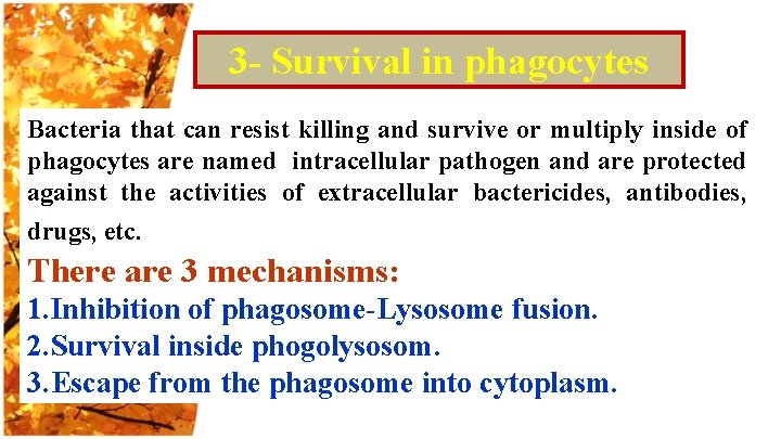 3 - Survival in phagocytes Bacteria that can resist killing and survive or multiply