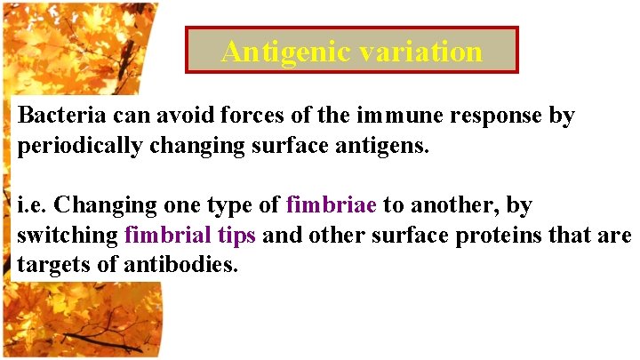 Antigenic variation Bacteria can avoid forces of the immune response by periodically changing surface