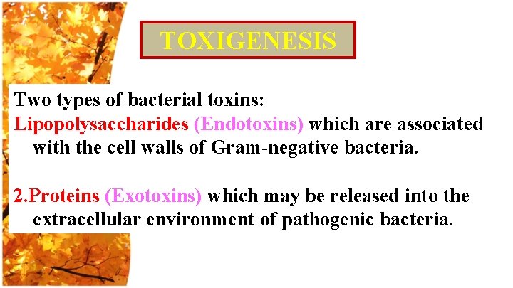 TOXIGENESIS Two types of bacterial toxins: Lipopolysaccharides (Endotoxins) which are associated with the cell