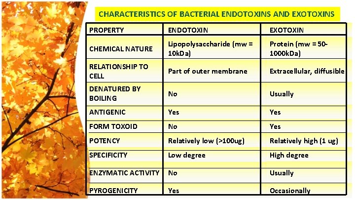 CHARACTERISTICS OF BACTERIAL ENDOTOXINS AND EXOTOXINS PROPERTY ENDOTOXIN EXOTOXIN CHEMICAL NATURE Lipopolysaccharide (mw =