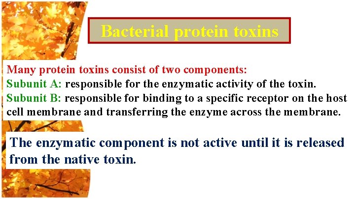 Bacterial protein toxins Many protein toxins consist of two components: Subunit A: responsible for