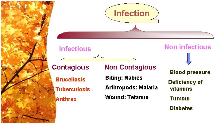 Infection Non infectious Infectious Contagious Non Contagious Blood pressure Brucellosis Biting: Rabies Tuberculosis Arthropods: