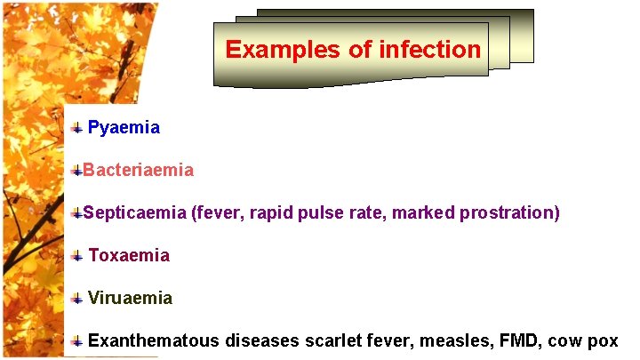 Examples of infection Pyaemia Bacteriaemia Septicaemia (fever, rapid pulse rate, marked prostration) Toxaemia Viruaemia