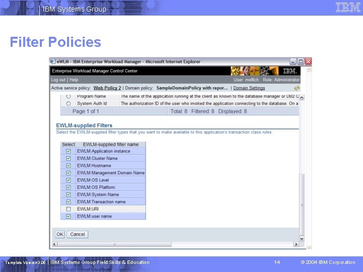 IBM Systems Group Filter Policies Template Version 3. 05 IBM Systems Group Field Skills