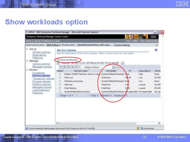 IBM Systems Group Show workloads option Template Version 3. 05 IBM Systems Group Field