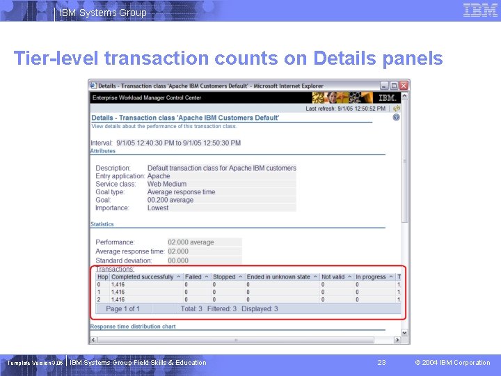 IBM Systems Group Tier-level transaction counts on Details panels Template Version 3. 05 IBM