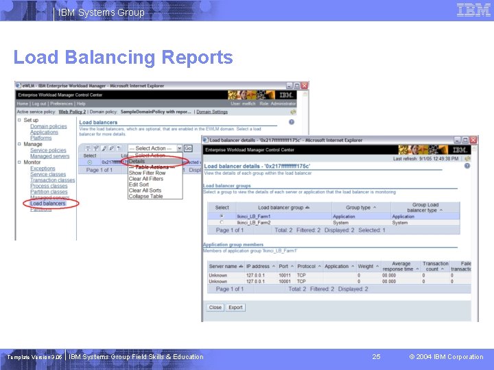 IBM Systems Group Load Balancing Reports Template Version 3. 05 IBM Systems Group Field