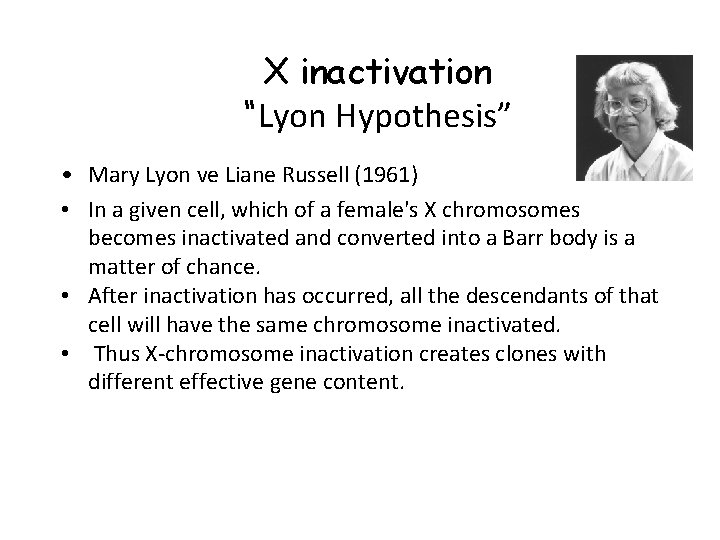 X inactivation “Lyon Hypothesis” • Mary Lyon ve Liane Russell (1961) • In a