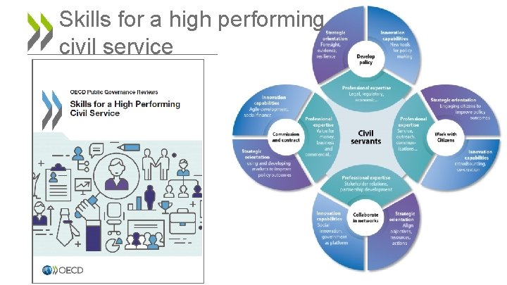 Skills for a high performing civil service 