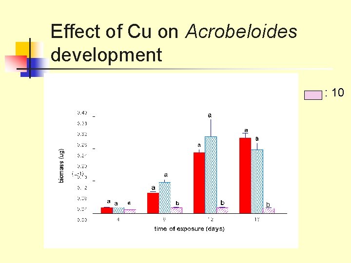 Effect of Cu on Acrobeloides development : 10 