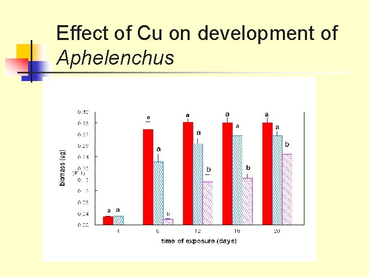 Effect of Cu on development of Aphelenchus 