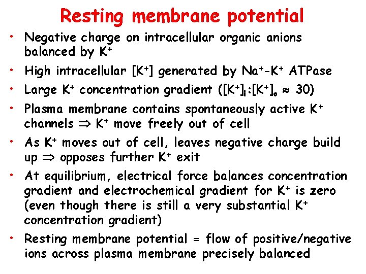 Resting membrane potential • Negative charge on intracellular organic anions balanced by K+ •