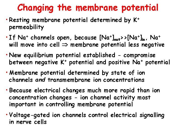 Changing the membrane potential • Resting membrane potential determined by K+ permeability • If