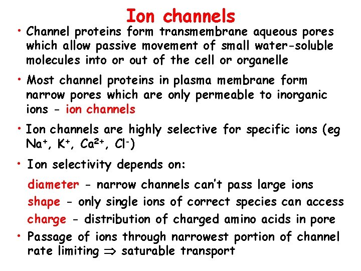 Ion channels • Channel proteins form transmembrane aqueous pores which allow passive movement of