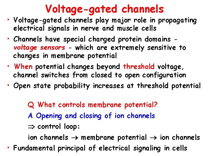 Voltage-gated channels • Voltage-gated channels play major role in propagating electrical signals in nerve