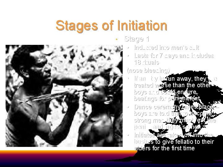 Stages of Initiation • Stage 1 • Inducted into men’s cult • Lasts for