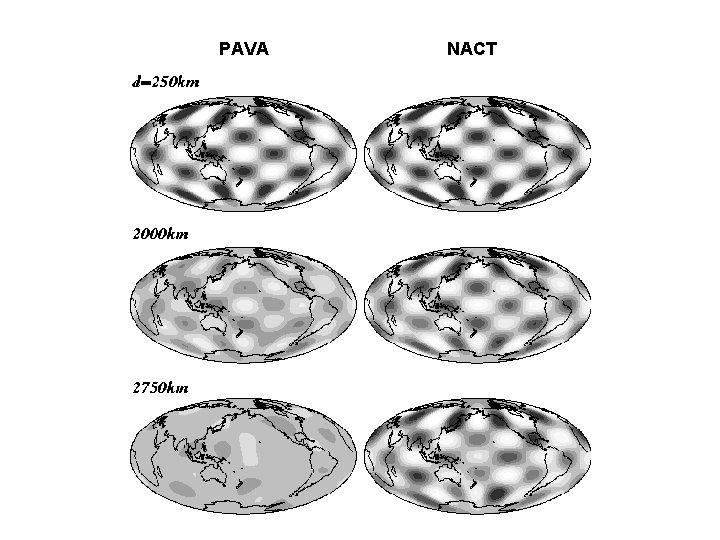 PAVA NACT 