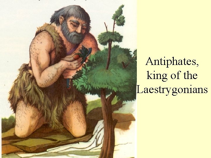 Antiphates, king of the Laestrygonians 