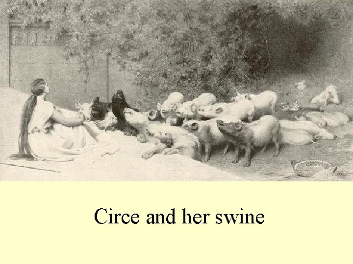 Circe and her swine 