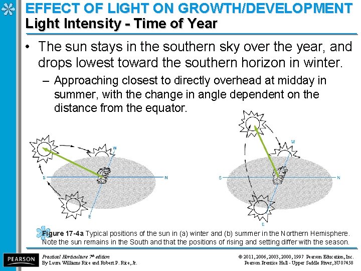 EFFECT OF LIGHT ON GROWTH/DEVELOPMENT Light Intensity - Time of Year • The sun